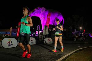 BIB: 
                            <button type="button" onclick="openModal(26534064)" class="btn btn-primary btn-sm float-right btn-popup" data-toggle="modal" data-target=".modal-high-quality">
                        <i class="fas fa-shopping-cart"></i> Add to Cart
                    </button>
                                            <button type="button" onclick="isThisMe(26534064, true)" class="btn btn-success btn-sm float-right btn-popup btn-isme hidden" data-toggle="tooltip" data-placement="bottom" title="นี่คือรูปของคุณใช่ไหม คลิกที่นี่เพื่อเอาเข้าอัลบั้ม">
                        <i class="fas fa-plus"></i> Add to album
                    </button>
                    <button type="button" onclick="isThisMe(26534064, false)" class="btn btn-warning btn-sm float-right btn-popup btn-isnotme hidden">
                        <i class="fas fa-ban"></i> Remove from album
                    </button>